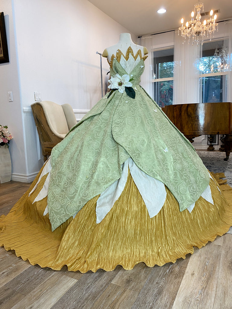 Princess and the outlet frog quinceanera dress